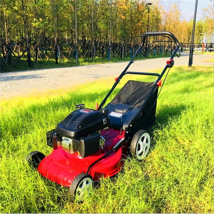 21'' inch Self-propelled gas lawn mower 21'' inch Self-propelled gas lawn mower